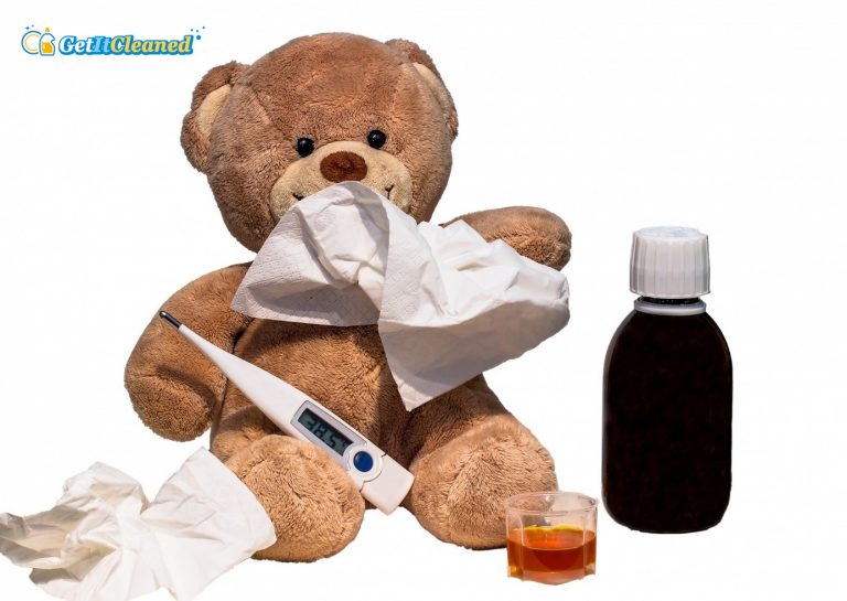 Specifics of Cleaning a Home During the Flu Season