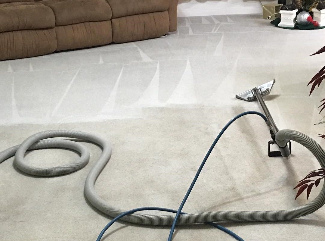 AllergenProof Your Upholstery Furniture and Carpets Get It Cleaned