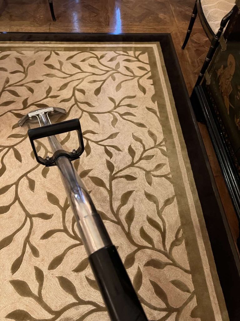 Rug Cleaning with a professional machine